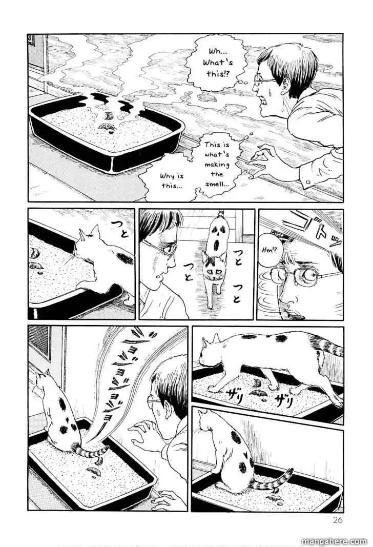 Ito Junji's Cat Diary Chapter 3 2